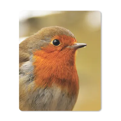 Produktbild von MuchoWow® Mauspad Mousepad Vogel - Rotkehlchen - Porträt 30x40 cm - Mousepads - Maus Mat - Pad - Mausunterlage - Mausmatten