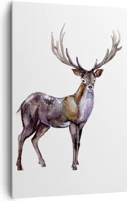 Produktbild von Bild auf Leinwand - Leinwandbild - Einteilig - Liebes Tier Wild Wald - 80x120cm - Wand Bild - Wanddeko - Wandbilder - Leinwanddruck - Wanddekoration - Leinwand bilder - Wandbild - PA80x120-2938