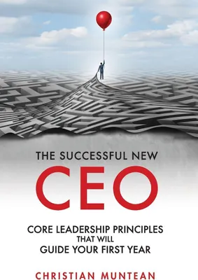 Produktbild von The Successful New CEO