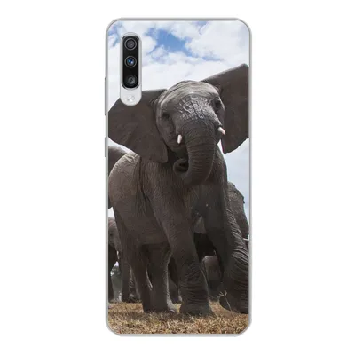 Produktbild von MuchoWow® Handyhülle Schutzhülle Hülle für Samsung Galaxy A70 Elefant - Tiere - Natur - Flachland Silikon Softcase Handy Hülle - Schutzhaube