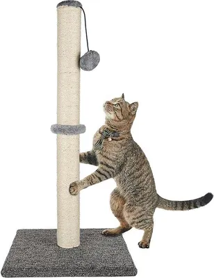 Immagine prodotto di Struttura per arrampicata per gatti, robusta struttura per gatti, casetta ricreativa con struttura sospesa e cuccia per gatti