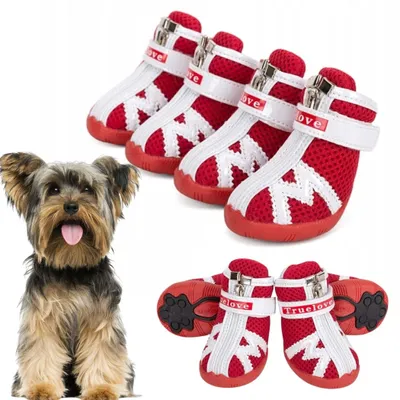 Produktbild von Truelove Protection Hundeschuhe Rot Größe XS