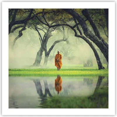 Produktbild von Poster - Poster ohne Rahmen - Mönch Wald Nebel - 60x60 cm - Wand Bild - Wanddeko - Wandbilder - Kunstposter - Wandposter - Bilder - Kunstdruck - Wanddekoration - Wandbild - P2XAC60x60-4286