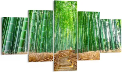 Produktbild von Bild auf Leinwand - Leinwandbild - Bambus Pflanze - 125x70cm - Wand Bild - Wanddeko - Wandbilder - Leinwanddruck - Bilder - Kunstdruck - Wanddekoration - Leinwand bilder - Wandkunst - EA125x70-3979