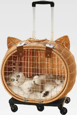 Produktbild von Katzenwagen, Rattan Hundewagen Katzenbox Mit Rädern, Atmungsaktive Haustiertasche Mit Teleskopgriff Für Camping Einkaufen Picknick Outdoor Kätzchen Kaninchen Tier