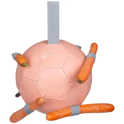 Immagine prodotto di Palla gioco carota rosa linnea
