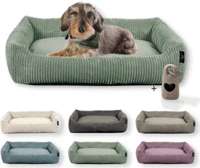 A dog bed in various colors, with a dog on the main bed.