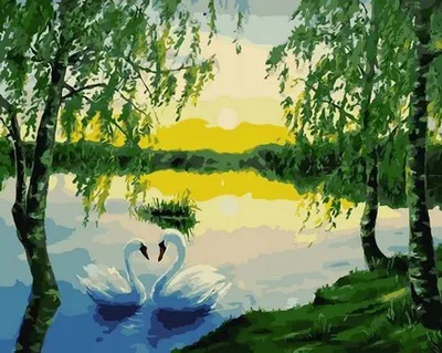 Produktbild von Malen nach Zahlen: Schwanensee, 40x50 cm