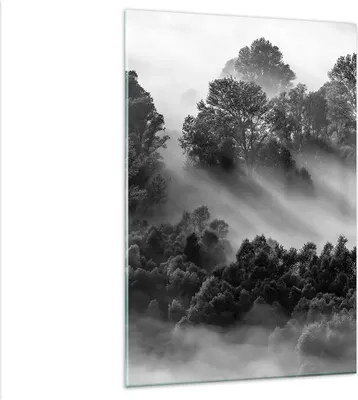 Produktbild von Bilder auf glas - Einteilig - Schwarzweiß Bäume Nebel - 80x120cm - Glasbilder - Wandbilder - Bilder - zum Aufhängen bereit - Wanddekoration aus Glas - Glas Bilder - Wandbild auf Glas - GPA80x120-4510