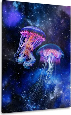 Produktbild von Quallen im Weltraum Wandbild Leinwandbild Kunstdruck XL Wanddeko: 60x90x2cm