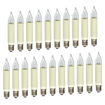 A collection of small candle-shaped light bulbs arranged in two rows against a white background.