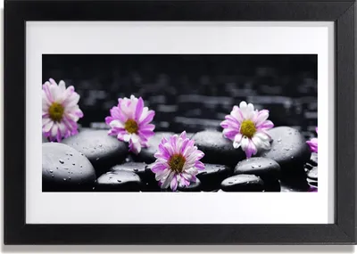 Produktbild von Bild 30x20 MDF-Rahmen Wandkunst Blume Orchidee Pflanze