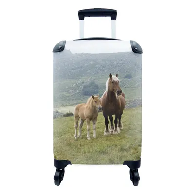 Produktbild von MuchoWow® Koffer Handgepäck Trolley Rollkoffer Kleine Reisekoffer mit 4 Rollen - Haflingerpferd und sein Fohlen - Cabin Size < 55x40x23 cm & 55x40x20 cm - Fotokoffer - Kabinenkoffer - Boardgepäck - Reise-Box - Reisekoffer - Reisegepäck - Koffer mit Bild - Trolley für Kinder