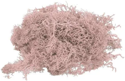 Obrázek produktu pro Umělé mech, dekorativní mech, mech pro umění, dekorace, stěny, večírky, zahradu, terasu, stůl, pokojové rostliny, světle růžový, 200