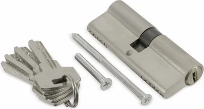 A set of keys, a lock cylinder, and two screws on a white background.