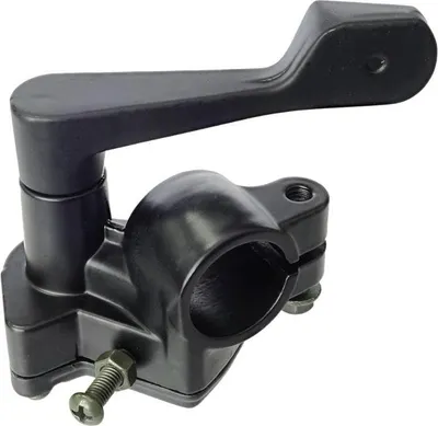 Produktbild von Bashan 200 Gashebel