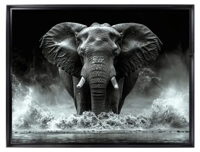 Image de Tableau mural encadré portrait éléphant majestueux 60x80 cm, Tableau mural moderne pour décoration intérieure