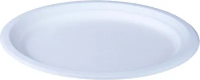 Produktbild von Zuckerrohrplatte 26,3 x 19,9 x 2 cm 50 Stück.