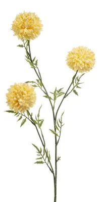 Produktbild von Warentuin Produkt