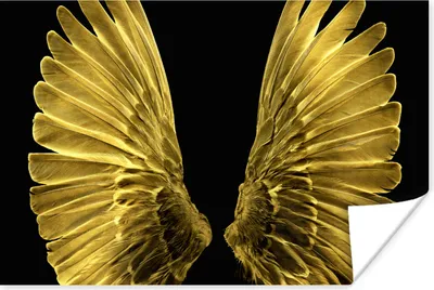 Produktbild von MuchoWow® Poster Goldene Flügel auf schwarzem Hintergrund 120x80 cm - Bilder