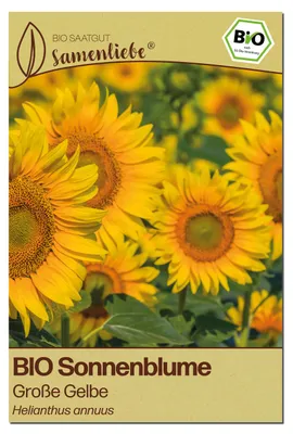Produktbild von Samenliebe  Sonnenblume Samen | XL Sonnenblume - gelb & sehr große - samenfestes  Saatgut