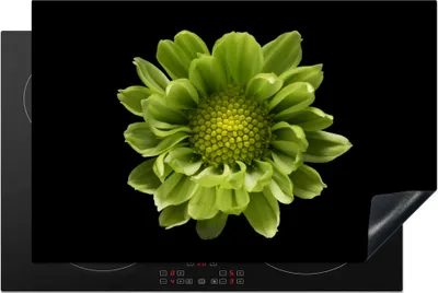 Produktbild von KitchenYeah© Herdabdeckplatte Eine Nahaufnahme der Chrysanthemenblüte vor schwarzem Hintergrund , 81x52cm, Küche Deko, Glaskeramikkochfeld Herdabdeckung, Abdeckplatte fùr Kochfeld