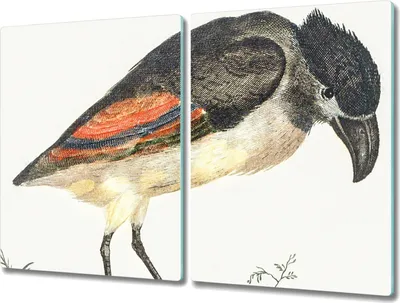 Produktbild von Coloray Herdabdeckplatte 2x40x52 cm Schneidebrett Kochplattenabdeckung Küchenbrett Hackbrett - Tier Vogel