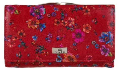 Image de Portefeuilles BajuBaj PD1424cs175RFID