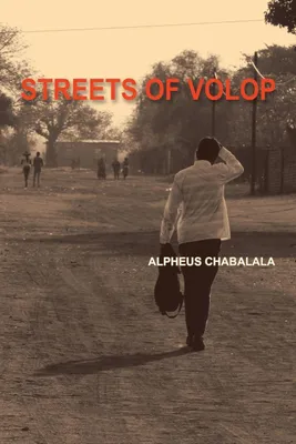 Produktbild von Streets of Volop