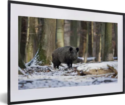 Produktbild von MuchoWow® MuchoWow® Gerahmtes Poster Wildschwein - Schnee - Tier 60x40 cm - Poster mit zchwarzem Bilderrahmen - Schlafzimmer - Plakat in Rahmen - Drucken