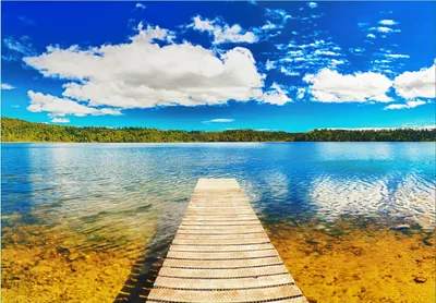 Produktbild von Wallario Fototapete Vliestapete, seidenmatte Oberfläche, einfache Verarbeitung, Größe 200 x 140 cm, Motiv Klarer See mit Steg - Blauer Himmel