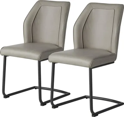 Produktbild von home24 Freischwinger - 2er-Set - Kunstleder / Eisen