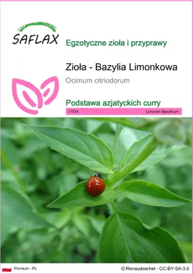 Zdjęcie produktu dla SAFLAX - Zioła - Bazylia Limonkowa - 200 Nasiona - Ocimum citriodorum