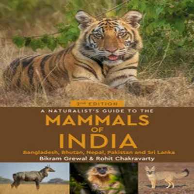 Produktbild von A Naturalist's Guide to the Mammals of India
