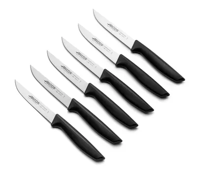Obrázek produktu pro SADA NOŽŮ NIZA – 6dílná sada – nůž na zeleninu (110 mm), ideální na čištění, loupání a krájení malého ovoce a zeleniny.