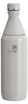 Produktbild von STANLEY 1913 All Day Slim Trinkflasche 0.6L - Ash