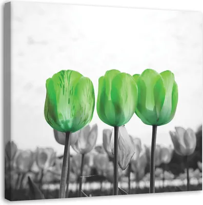 Produktbild von Leinwandbild grüne tulpen auf einer wiese 60x60 cm Feeby grün wandbild bereit zum aufhängen