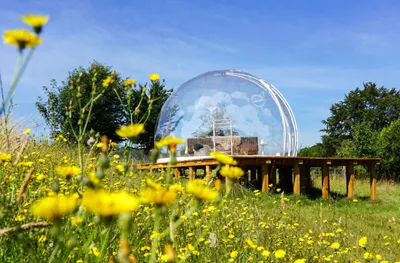 Produktbild von Jochen Schweizer Bubble Übernachtung Kalletal mit Landhaus-Frühstück für 2 (1 Nacht); Erlebnis verschenken oder selbst erleben;  Gutschein gültig für 2 Personen