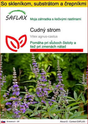 Obrázok produktu pre SAFLAX Kultivačný set - cudný strom - Vitex agnus-castus - 30 Semená - S mini skleníkom, pestovateľským substrátom a 2 črepníkmi