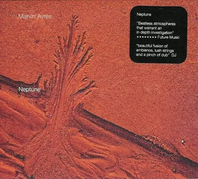 Produktbild von Neptune