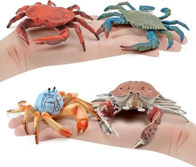 Produktbild von 8 Stück realistische Meerestierfiguren, Simulation statische Krabbenfigur, kognitives Bildungsmodell, Desktop-Ornament, Sammlungen, Dekorationen