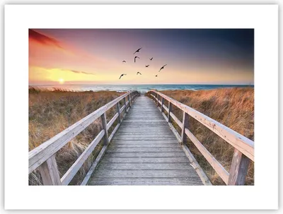 Produktbild von Poster - Poster ohne Rahmen - Eintrag auf der Strand - 40x30 cm - Wand Bild - Wanddeko - Wandbilder - Kunstposter - Wandposter - Bilder - Kunstdruck - Wanddekoration - Wandbild - P2XAA40x30-4647