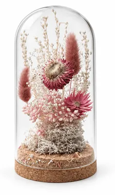 Produktbild von LAYBA Trockenblumen im Glas Bordeaux/Rosa – Glashaube mit Korksockel, 11 cm hoch, Ø 6,5 cm, Tischdeko, 1 Stück