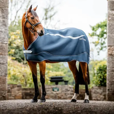 Produktbild von Horseware Dry Liner