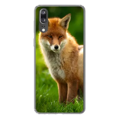 Produktbild von MuchoWow® Handyhülle Schutzhülle Hülle für Huawei P20 Fuchs - Licht - Gras Silikon Softcase Handy Hülle - Hardcover