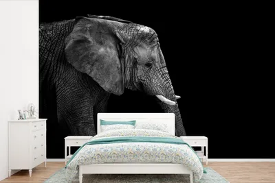 Produktbild von MuchoWow® Fototapete für Wohnzimmer oder Schlafzimmer Wandtapete Vinyl Motivtapete Elefant - Schwarz und weiß - Porträt - Tiere - 390x260 cm - Papiertapete