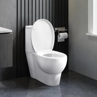 Obrázok produktu pre WC sedadlo s mechanizmom Soft-Close, WC poklop, antibakteriálne WC sedadlo, WC sedadlo Fast-Fix, WC poklop, biela farba