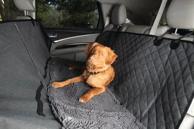 Produktbild von Dirty Dog Autodecke - Hund - Vordersitz - Grau - 136x148 cm