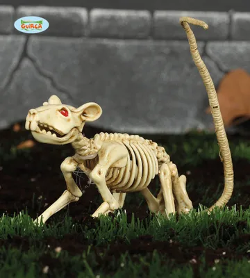 Image de Dekorace kostra - KRYSA - Halloween - 20 cm