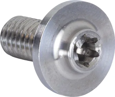 Obrázek produktu pro Powerslide Ti montážní šroub, stříbrný  Stříbrný, univerzální velikost